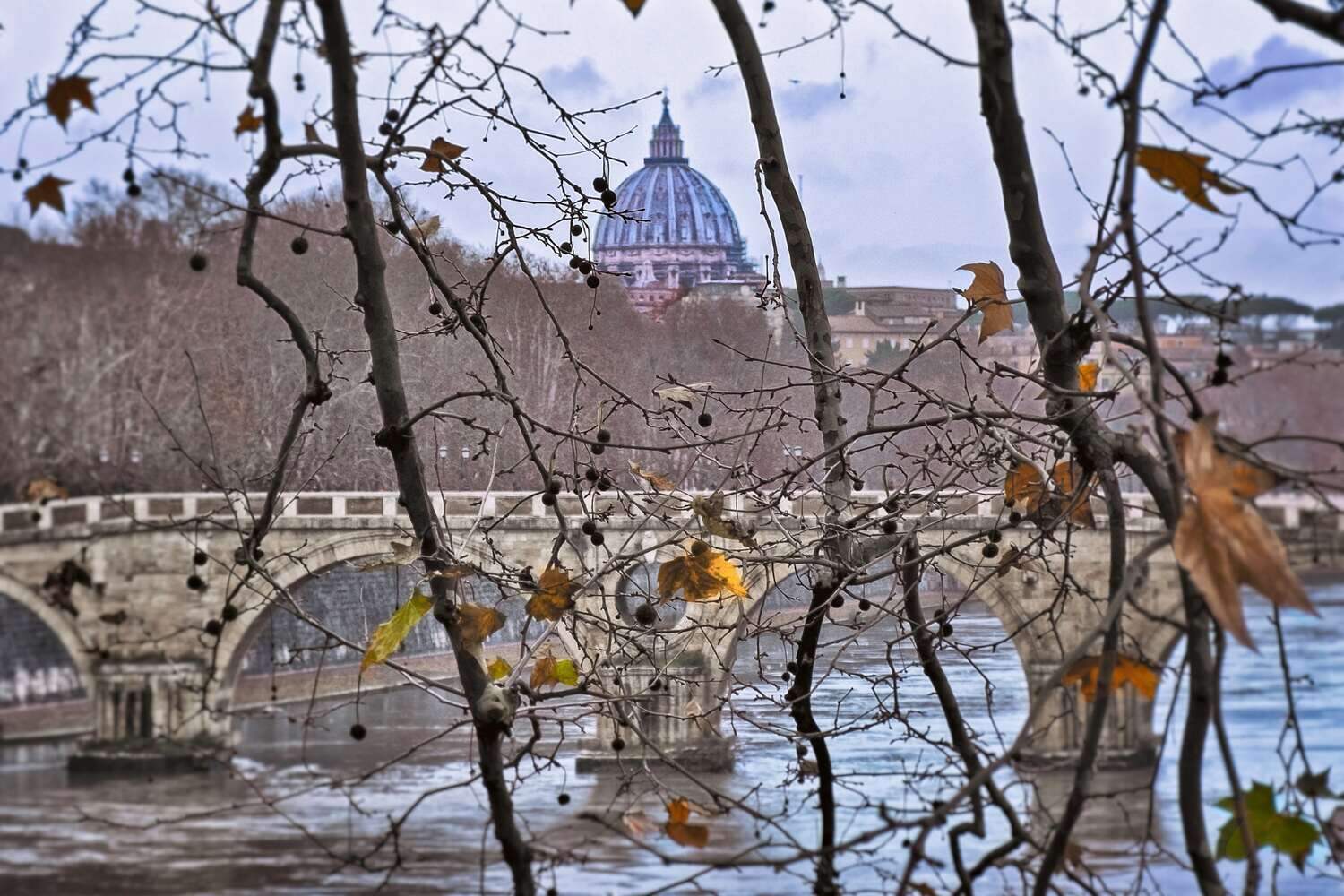 View of Castel Sant'Angelo in rome in the winter with leaf-free trees