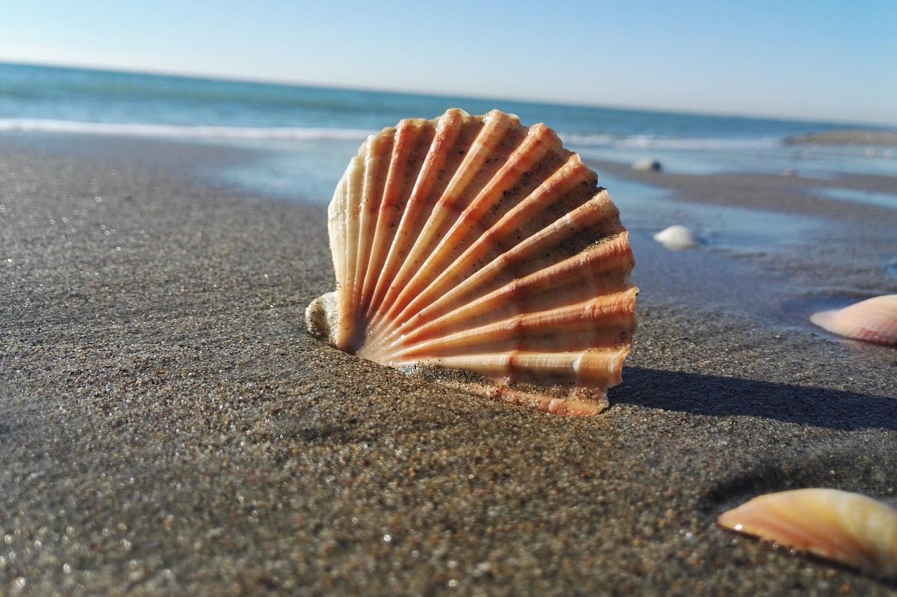 y a-t-il des plages à Rome ?